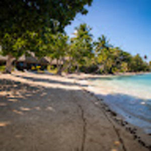 Meet your Posher, Teri